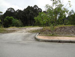 DSC00659.jpg